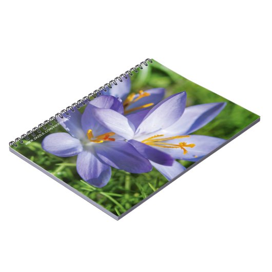 Krokus Notitieboek (Linkerzijde)