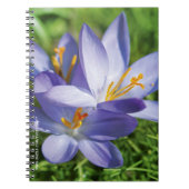 Krokus Notitieboek (Voorkant)