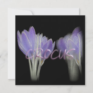 KROKUSBLOEM FEESTDAGENKAART