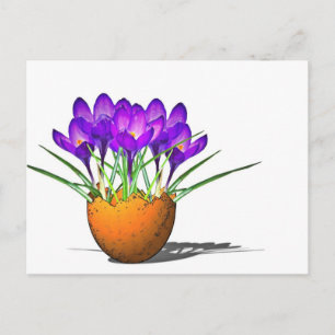 Krokusse Briefkaart