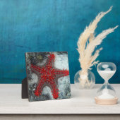 Kroning van de borstkreeft op het koraalrif fotoplaat (Insitu)