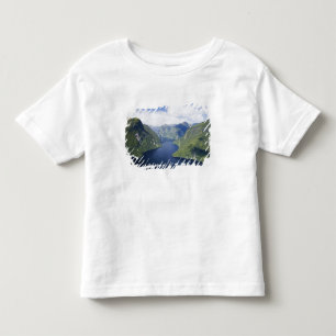 Kronkelende Arm, Malaspina Reach, Doubtful Sound, Kinder Shirts