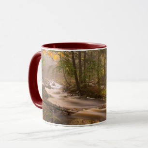 Kronkelende stromen Appalachian Trail   Vermont Mok