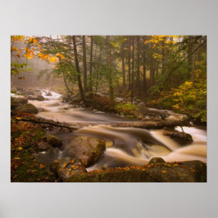 Kronkelende stromen Appalachian Trail Vermont Poster
