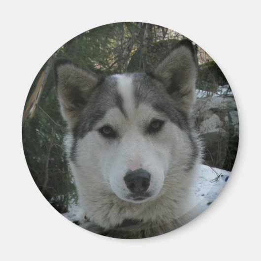 kronkelig magneet (Voorkant)