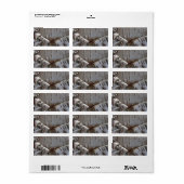 Kronkelige Berkenschors Boom Rustiek Etiket (Full Sheet)