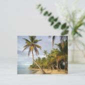 Krooked Palm Briefkaart (Staand voorkant)