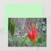 Kroon Briefkaart (Voorkant / Achterkant)