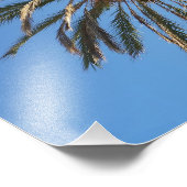 kroon van een palmboom foto afdruk (Hoek)