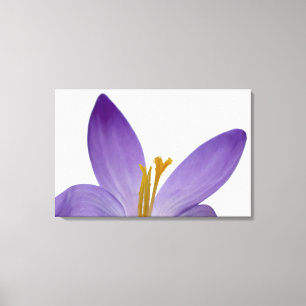 Kroonbloemonderdelen. Canvas Afdruk
