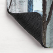 kroonfontein in Millennium Park Muismat (Hoek)