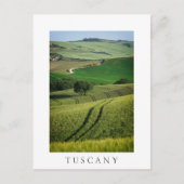 Kroplijnen in het groene Toscane stijlvolle briefk Briefkaart (Voorkant)