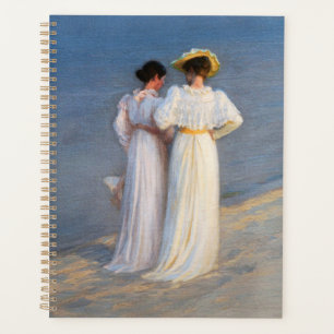 Kroyer - Soirée d'été sur Skagen Beach Closeup