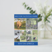 kruger np wildlife briefkaart (Staand voorkant)