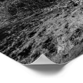 Kruger Quiescence Poster (Hoek)