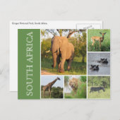 kruger south africa briefkaart (Voorkant / Achterkant)