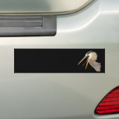 kruid bumpersticker (Op auto)