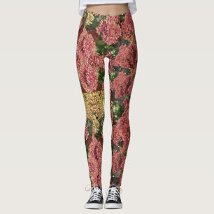 Kruidachtige Plant legging