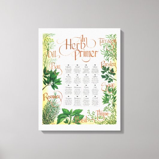 Kruiden Primer Canvas Print (Voorkant)