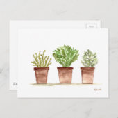 Kruiden, sage, rozemarijn, tijm briefkaart (Voorkant / Achterkant)