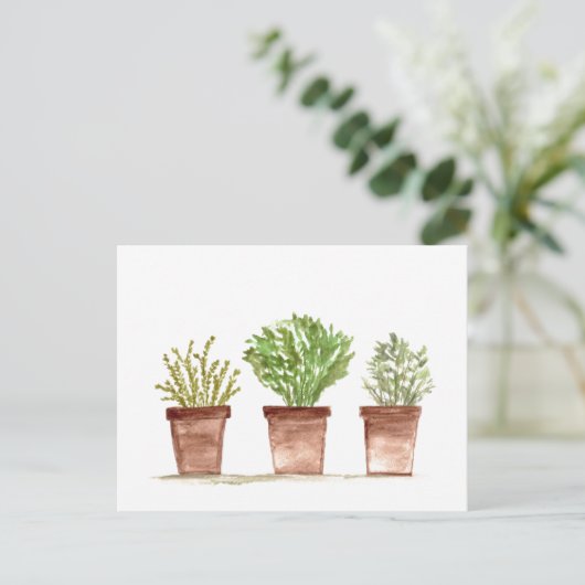 Kruiden salie, rozemarijn, tijm tuin briefkaart (Staand voorkant)