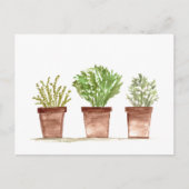 Kruiden salie, rozemarijn, tijm tuin briefkaart (Voorkant)