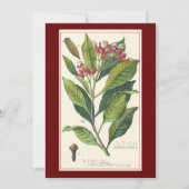  kruiden specerijen, handschoenen, Plant (Voorkant)