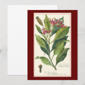  kruiden specerijen, handschoenen, Plant (Voorkant / Achterkant)