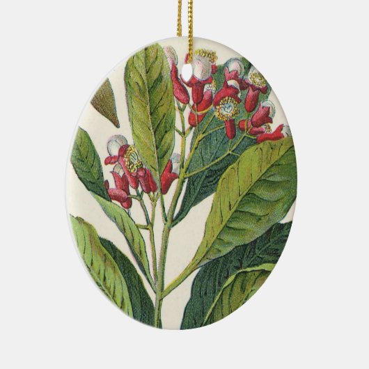 kruiden specerijen, handschoenen, Plant Keramisch Ornament (Rechts)