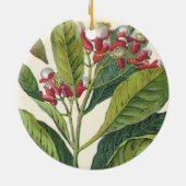 kruiden specerijen, handschoenen, Plant Keramisch Ornament (Achterkant)