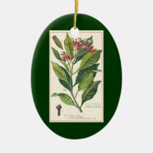 Kruiden Specerijen, Kruidnagels Plant Keramisch Ornament