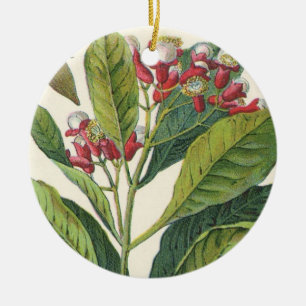 Kruiden Specerijen, Kruidnagels Plant Keramisch Ornament