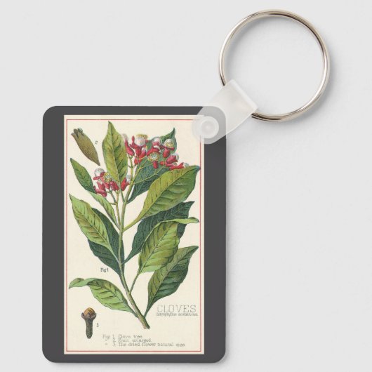 Kruiden Specerijen, Kruidnagels Plant Sleutelhanger (Achterkant)