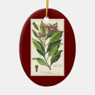 Kruiden Specerijen Oude Voeding, Kruidnagels Plant Keramisch Ornament