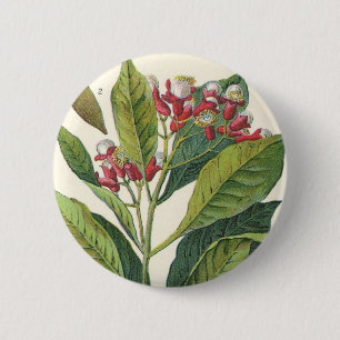 Kruiden Specerijen Oude Voeding, Kruidnagels Plant Ronde Button 5,7 Cm