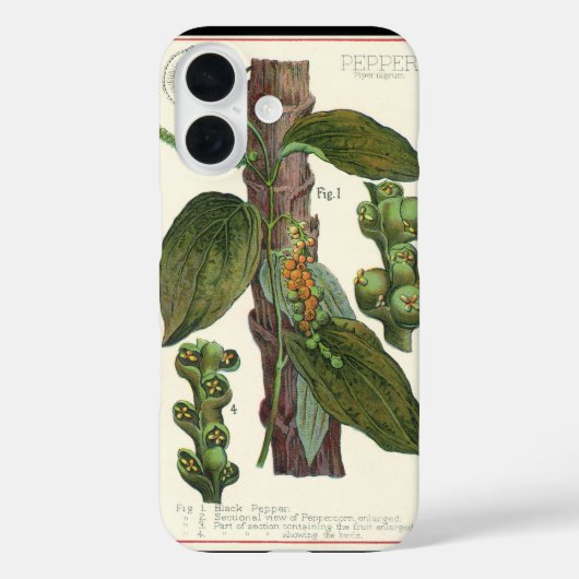  kruiden specerijen, zwart Plant Case-Mate iPhone Case (Achterkant)