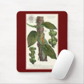  kruiden specerijen, zwart Plant Muismat (Met muis)