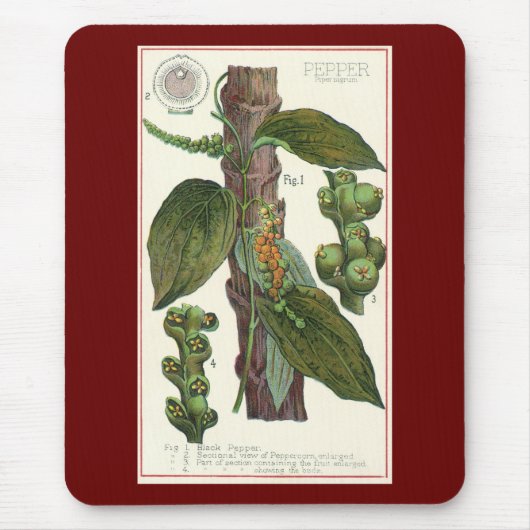  kruiden specerijen, zwart Plant Muismat (Voorkant)