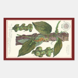  kruiden specerijen, zwart Plant Rechthoekige Sticker