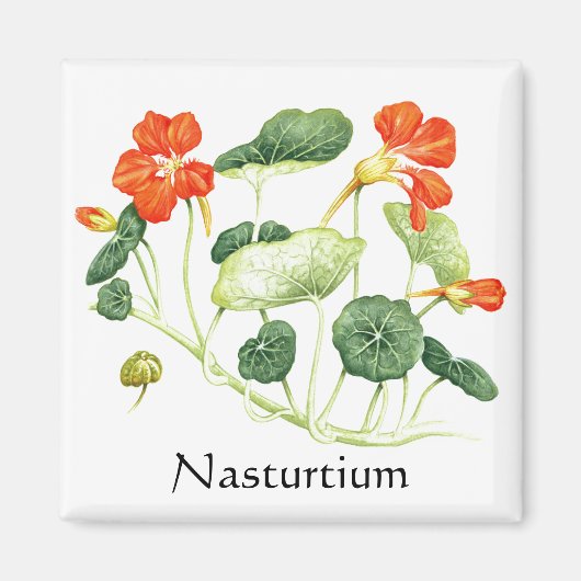 Kruiden Tuin Serie - Nasturtium Magneet (Voorkant)
