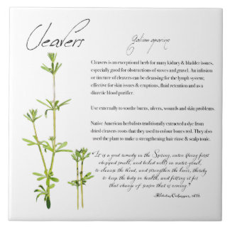 Kruidenapathecary: Cleavers | Keramische Tegel Tegeltje