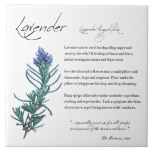Kruidenapotheek: lavender   Keramische Tegel Tegeltje