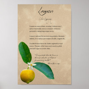 Kruidenapotheek: Lemon   Botanisch Poster