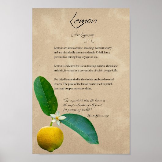 Kruidenapotheek: Lemon | Botanisch Poster (Voorkant)