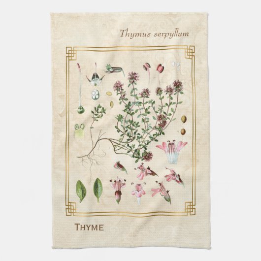  kruidenillustraties Wilde Thyme Botanisch Theedoek (Verticaal)