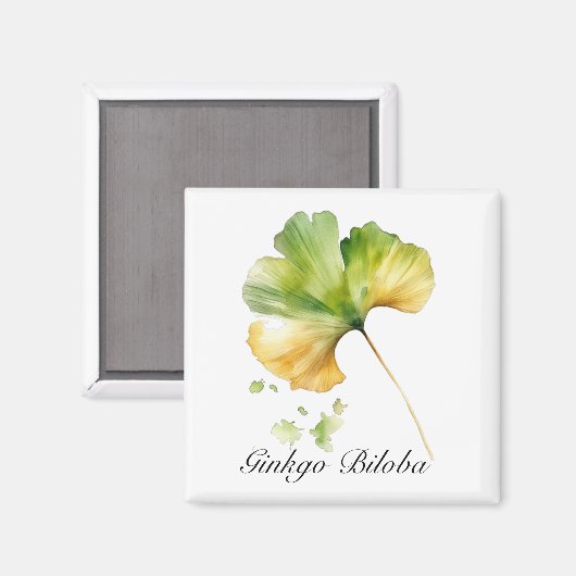 Kruidenleven: Ginkgo Biloba leaf waterverf Magneet (Voorkant / Achterkant)