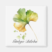 Kruidenleven: Ginkgo Biloba leaf waterverf Magneet (Voorkant)