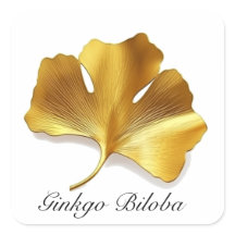 Kruidenleven: Gouden Ginkgo Biloba blad aanpasbaar