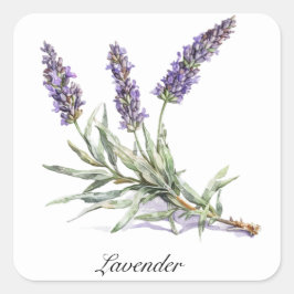 Kruidenleven: Lavendel, aanpasbaar Vierkante Sticker