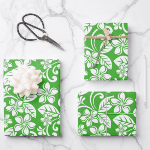 KRUIDENPAPIER SHEE VAN ISLAND PLUMERIA (CITRUS GRE INPAKPAPIER VEL